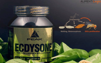 Suplemento de Ecdisteroides: ¿Aumento de masa muscular y fuerza?