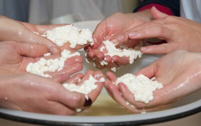 El lactosuero de la leche es contaminante. ¿Lo sabías?