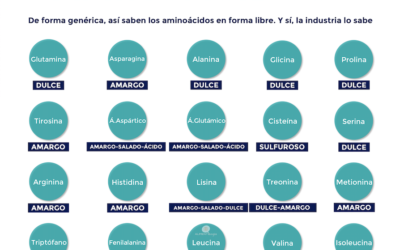 ¿A qué saben los aminoácidos en forma libre?