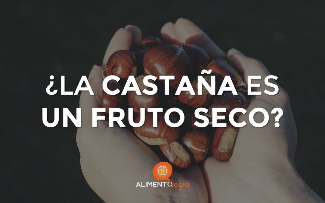¿La Castaña es un Fruto Seco? ¿Qué aportan?
