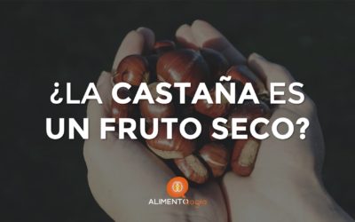 ¿La Castaña es un Fruto Seco? ¿Qué aportan?