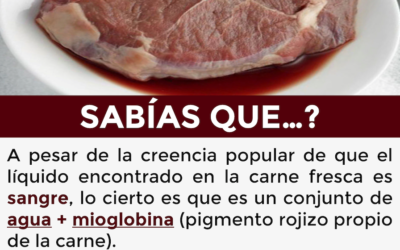 El líquido de la carne fresca no es sangre, es agua teñida