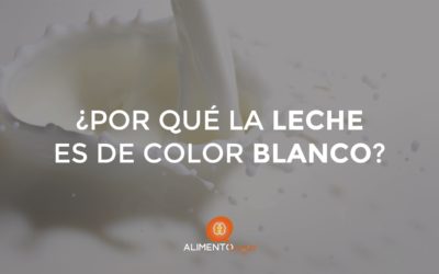 ¿Por qué la LECHE es BLANCA?