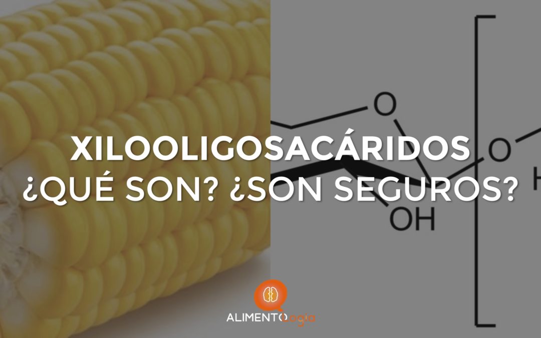 Xilooligosacáridos (XOS): ¿Qué son? ¿Son seguros?