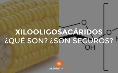 Xilooligosacáridos (XOS): ¿Qué son? ¿Son seguros?