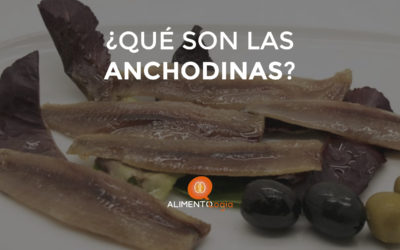 ¿Qué son las Anchodinas?