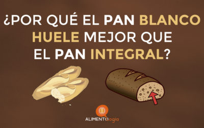 ¿Por qué el Pan Blanco HUELE mejor que el Integral?