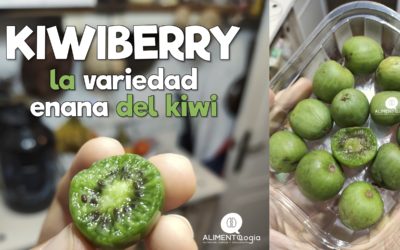 Todo sobre el KIWIBERRY: ¡el KIWI ENANO!