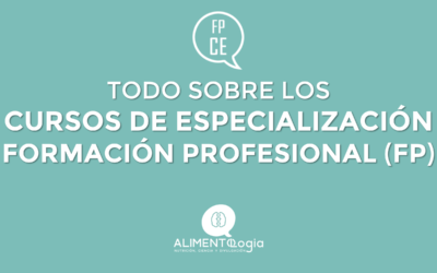 Todo sobre los Cursos de Especialización de FP, los Máster FP para Técnicos de Formación Profesional [Actualizado 2022]