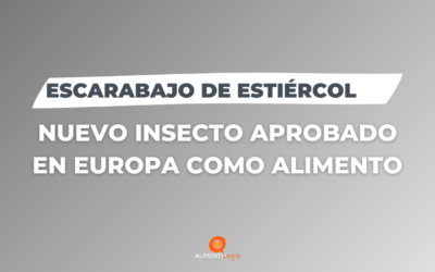 El Escarabajo de Estiércol (Insecto) es aprobado como Alimento en Europa | «Alphitobius diaperinus»