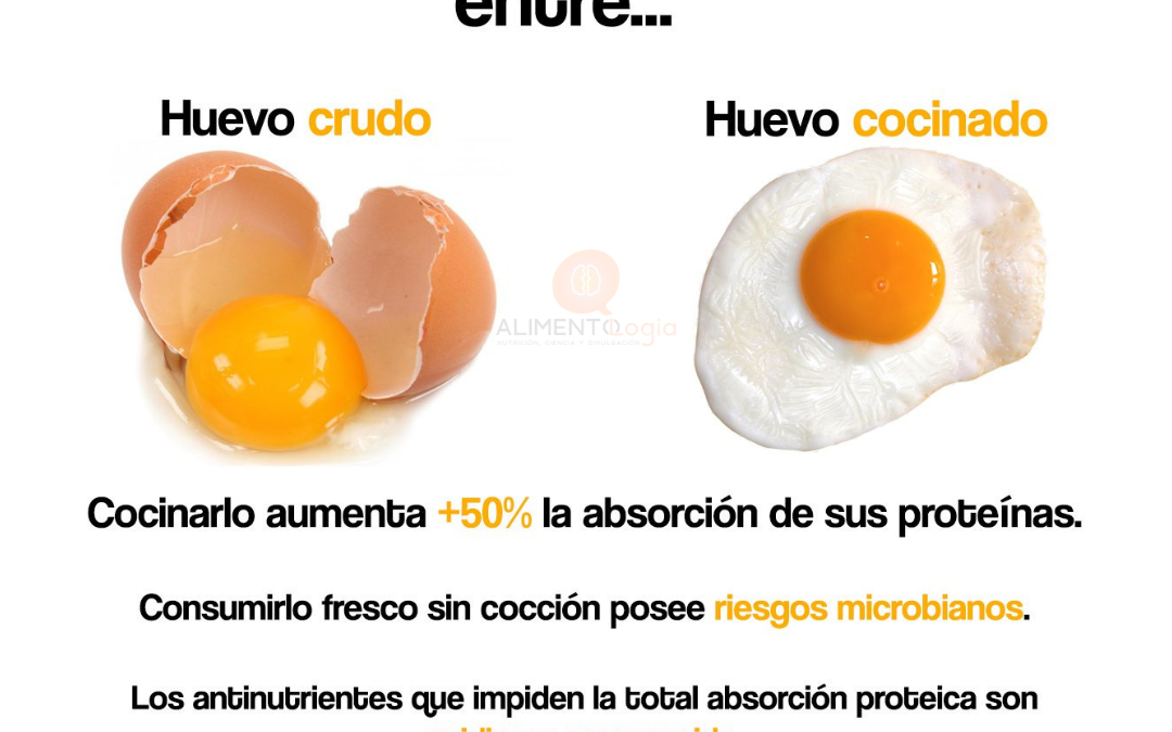 Diferencias en la proteína del Huevo Crudo vs Cocido: ¡Aprovecha las proteínas!