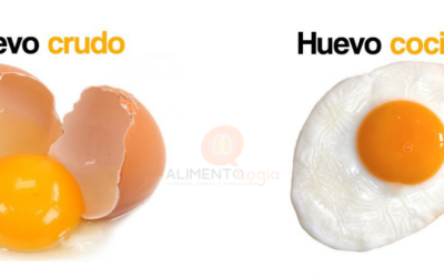 Diferencias en la proteína del Huevo Crudo vs Cocido: ¡Aprovecha las proteínas!