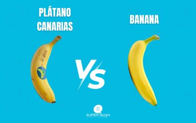 Estas son las Diferencias entre PLÁTANO CANARIAS vs BANANA