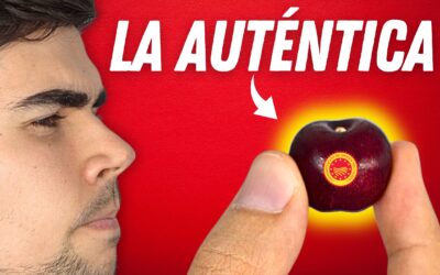 ¡Que no te engañen! Esta es la diferencia entre Picota y Cereza: Diferencias, Denominación Origen